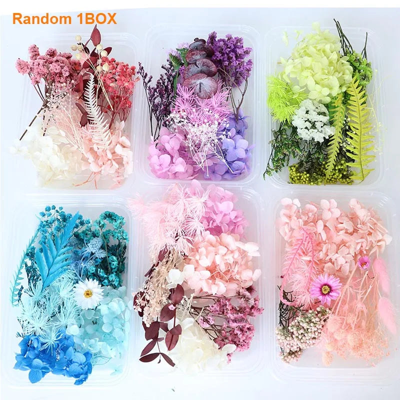 Dried Flowers for Resin Casting Mold DIY Crafts