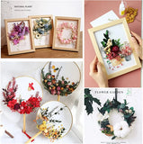 Dried Flowers for Resin Casting Mold DIY Crafts