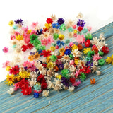 Natural Dry Flowers UV Resin Decorative Stickers