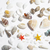 Sea Shells Pearl Resin Filler Rhinestones Epoxy Silicone Mold Jewelry
