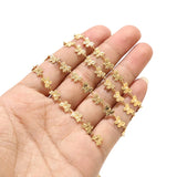 Stainless Steel Butterfly Chains Charm Link Chain 6mm for Jewelry Making