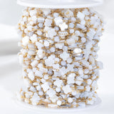 1Meter Stainless Steel Shell Beads Chain DIY Necklace Bracelet Supplies