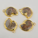 Natural Conch Charms Necklace Pendant Jewelry DIY