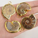 Natural Conch Charms Necklace Pendant Jewelry DIY