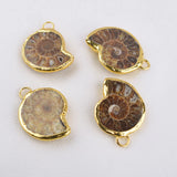 Natural Conch Charms Necklace Pendant Jewelry DIY