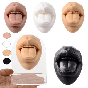 3D Mouth Lip Piercing Silicone Model Display Stand for Training