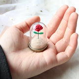 Little Prince Rose Pendant/Le Petit Prince Terrarium Gift