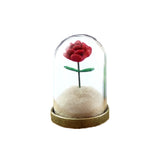 Little Prince Rose Pendant/Le Petit Prince Terrarium Gift