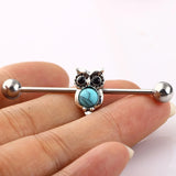 Long Barbell Industrial Piercing Crystal Ear Cartilage Stud Earring 14G