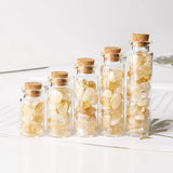 Natural Chip Stone Wishing Bottle Rutilated Quartzs Crystal