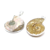 Natural Stone Snail Ammonite Pendant for Jewelry Making