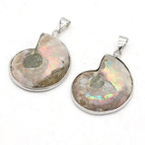 Natural Stone Snail Ammonite Pendant for Jewelry Making