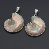 Natural Stone Snail Ammonite Pendant for Jewelry Making
