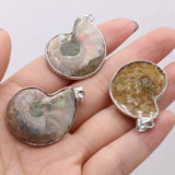 Natural Stone Snail Ammonite Pendant for Jewelry Making