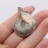 Natural Stone Snail Ammonite Pendant for Jewelry Making