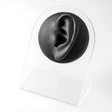 Soft Silicone Ear Model for Hearing Aid Simulation Display Props