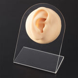 Soft Silicone Ear Model for Hearing Aid Simulation Display Props