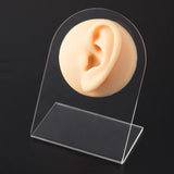 Soft Silicone Ear Model for Hearing Aid Simulation Display Props