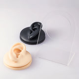 Soft Silicone Ear Model for Hearing Aid Simulation Display Props