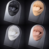 Soft Silicone Mouth Model 3D Flexible Human Body Part Display