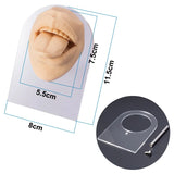 Soft Silicone Mouth Model 3D Flexible Human Body Part Display
