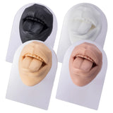 Soft Silicone Mouth Model 3D Flexible Human Body Part Display