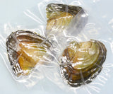 1PCS Natural Cultured Pearl Oysters with 6MM Pearls - Vacuum Packaged