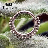 1PS G23 Titanium High Segment Ring Ball Nose Septum Jewelry