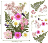 Pressed Dried Flowers Daisy for Resin Mold DIY Jewelry Making Crafts