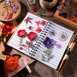 Pressed Dried Flowers Daisy for Resin Mold DIY Jewelry Making Crafts