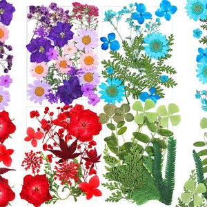 Pressed Dried Flowers Daisy for Resin Mold DIY Jewelry Making Crafts