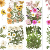 Pressed Dried Flowers Daisy for Resin Mold DIY Jewelry Making Crafts