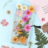 Pressed Dried Flowers Daisy for Resin Mold DIY Jewelry Making Crafts