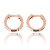 S925 Sterling Silver 1 Row CZ Stone Claw Setting Stud Earrings