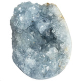 img_19399300