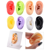 1Pc Soft Silicone Ear Model Tattoo Practice Jewelry Display Tool