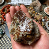 1Pcs Alxa Gobi Stone Unique Shape Agate Jade Stone