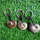 Madagascar Spotted Conch Polished Jade Pattern Ammonite Snail Keychain