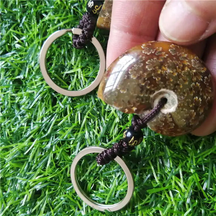Madagascar Spotted Conch Polished Jade Pattern Ammonite Snail Keychain