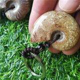 Madagascar Spotted Conch Polished Jade Pattern Ammonite Snail Keychain