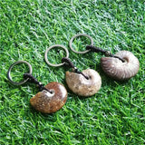 Madagascar Spotted Conch Polished Jade Pattern Ammonite Snail Keychain