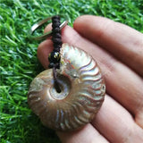 Madagascar Spotted Conch Polished Jade Pattern Ammonite Snail Keychain