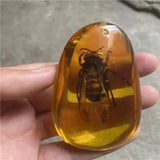 Natural Artificial Amber Real Specimen Pendant Insect Amber Wax Bumblebee