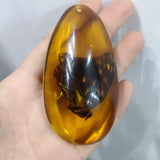 Natural Artificial Amber Real Specimen Pendant Insect Amber Wax Bumblebee