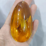 Natural Artificial Amber Real Specimen Pendant Insect Amber Wax Bumblebee