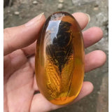 Natural Artificial Amber Real Specimen Pendant Insect Amber Wax Bumblebee