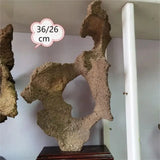 1Pc Alxa Gobi Fengling Stone Living Room Decoration Natural Raw Stone Boutique