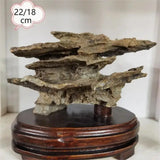 1Pc Alxa Gobi Fengling Stone Living Room Decoration Natural Raw Stone Boutique