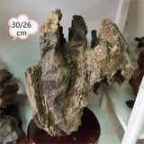1Pc Alxa Gobi Fengling Stone Living Room Decoration Natural Raw Stone Boutique