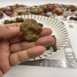 Rare Alxa Natural Gobi Agate Meridians Stripe Violet Flower Veins